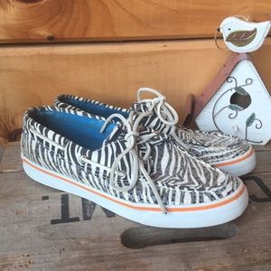 Zebra sequin Sperry